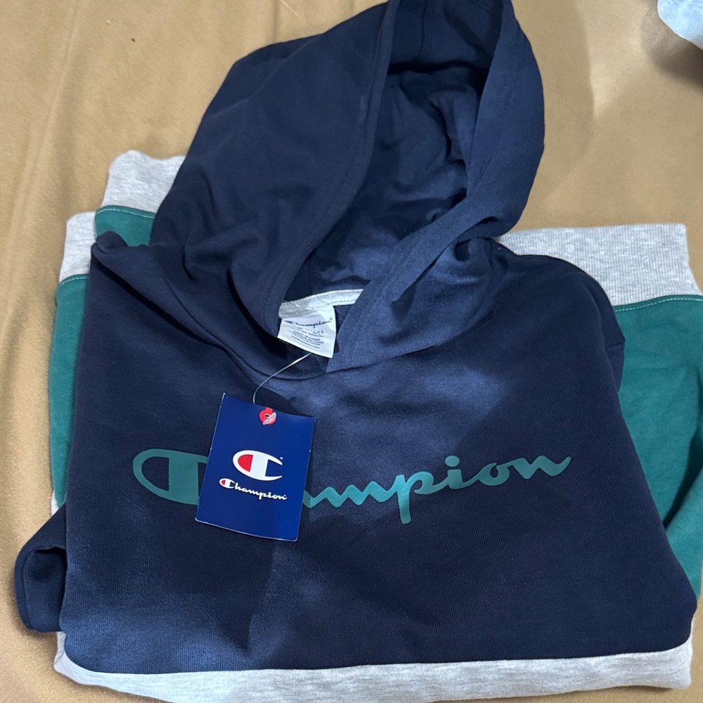 Champion Dark Blue and Teal Hoodie